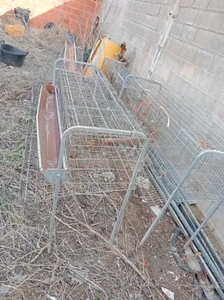 Jaulas para gallinas ponedoras