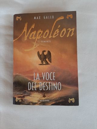 Napoléon: La Voce del Destino