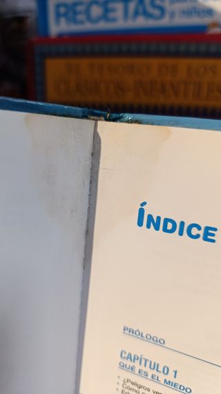 Los Miedos Del Pequeño