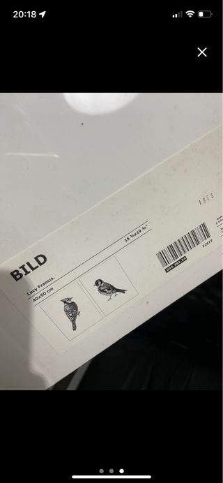 Láminas Ikea Pájaros