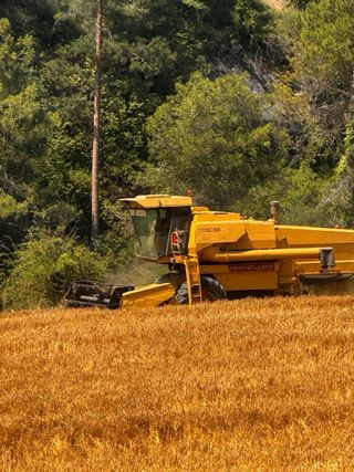 New holland cosechadora