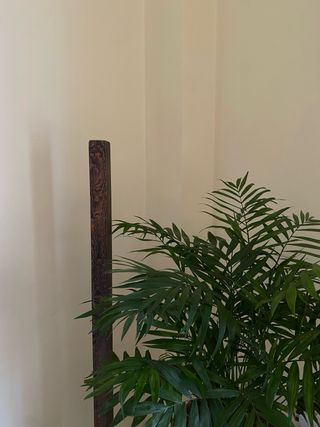 Lámpara de Pie de Madera LED con Mando