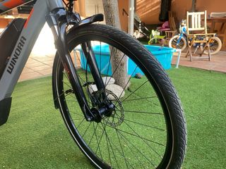 Bicicleta eléctrica