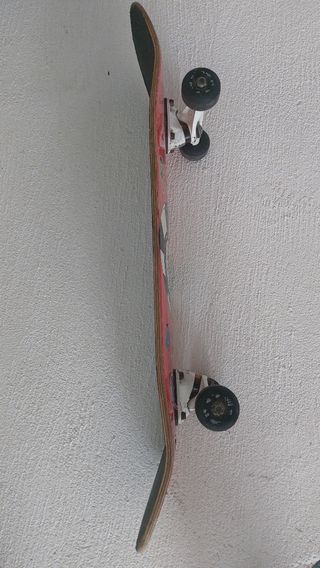 MONOPATIN SKATE
