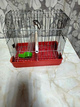 Lote jaulas