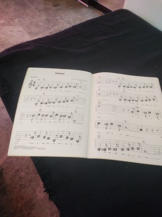 Libro musica