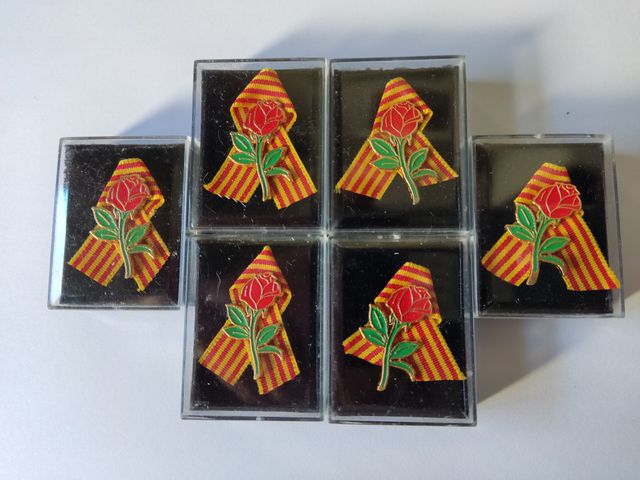 LOTE  6 PINS ROSAS DE SANT JORDI -PATRON CATALUNYA