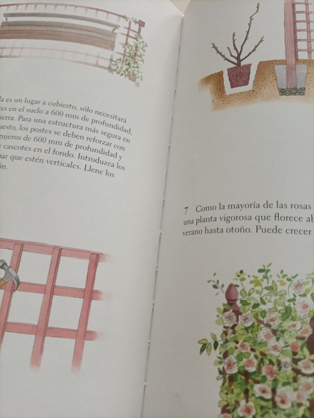 Crear un pequeño jardín (Saber vivir) (Spanish ...