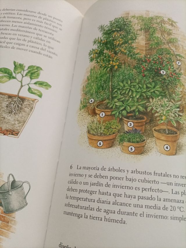 Crear un pequeño jardín (Saber vivir) (Spanish ...