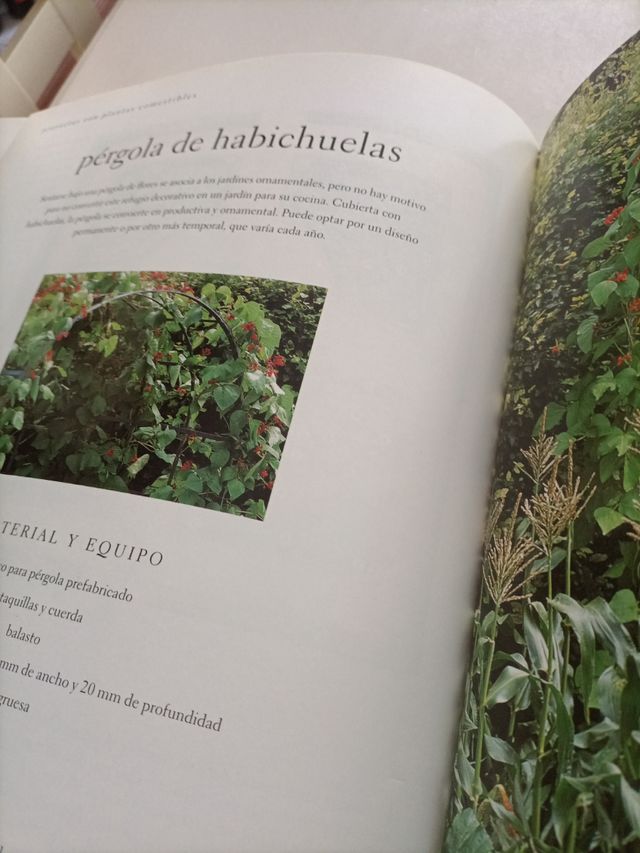 Crear un pequeño jardín (Saber vivir) (Spanish ...