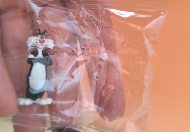 Muñeco silvestre de Looney tunes