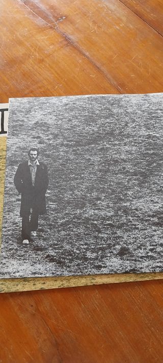 Vinile 33giri De Gregori