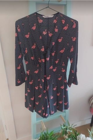 Mono flamencos