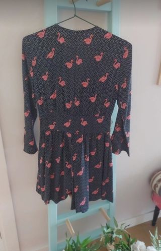 Mono flamencos