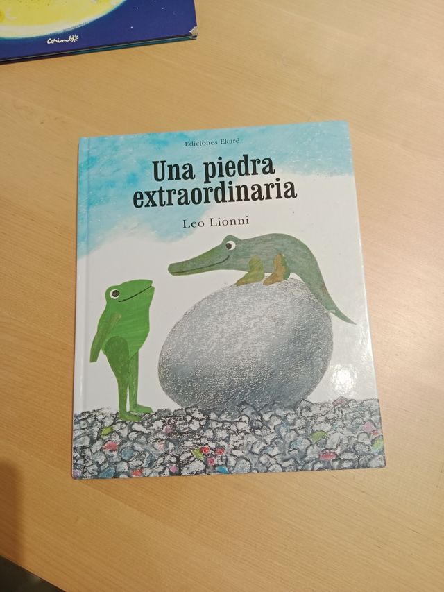 Una piedra extraordinaria (Spanish Edition)