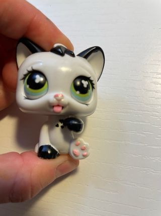 Little pet shop gato edicion especial
