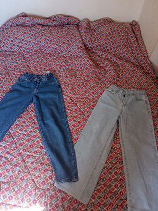 Lote 2 pantalones tejanos de moda