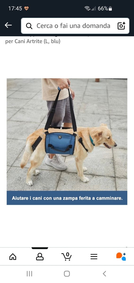 Imbragatura pettorina cani