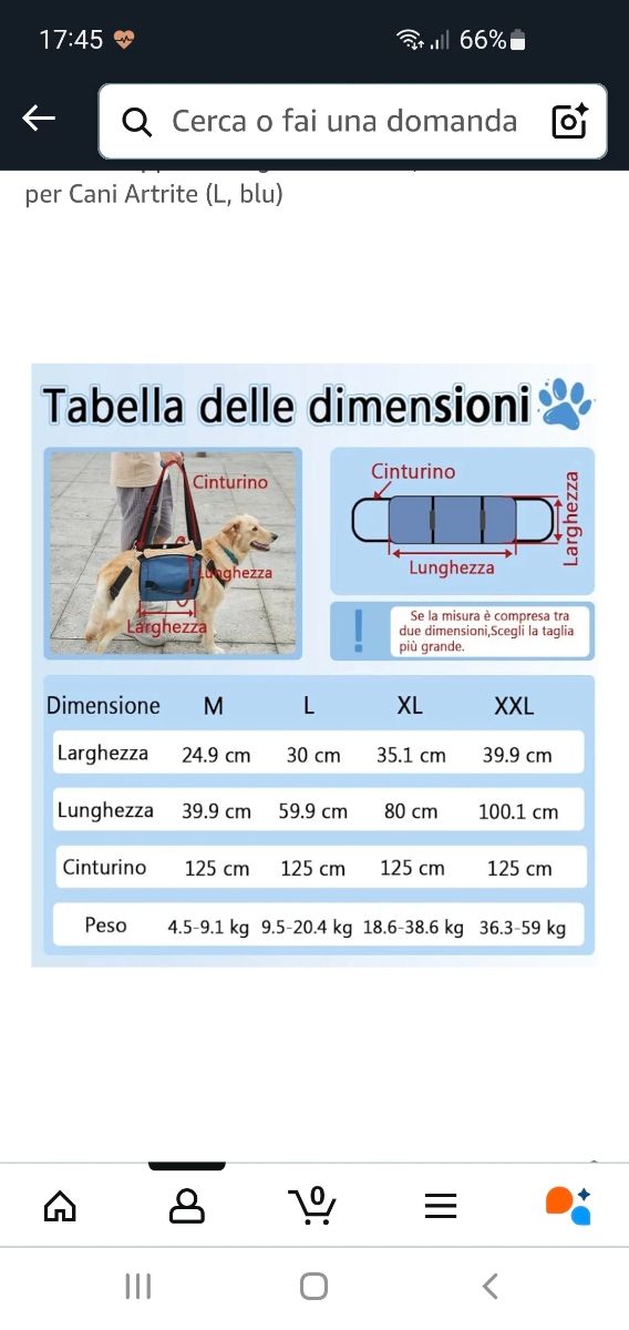 Imbragatura pettorina cani