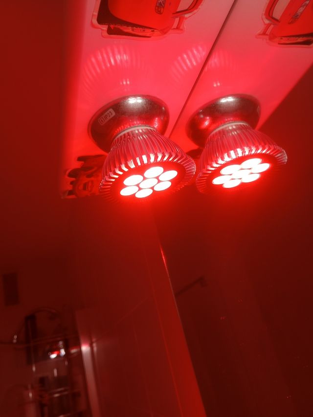 Bombilla led roja 