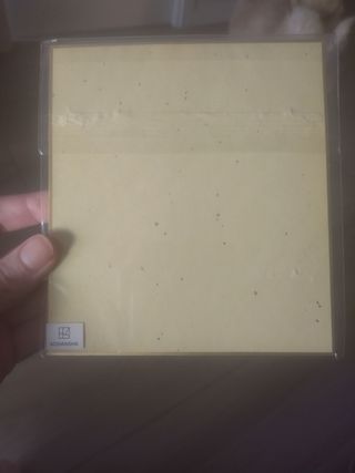 Shikishi Mushishi Yuki Urushibara Oficial n D11