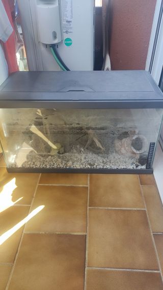 Pesceras o terrario para tortugas