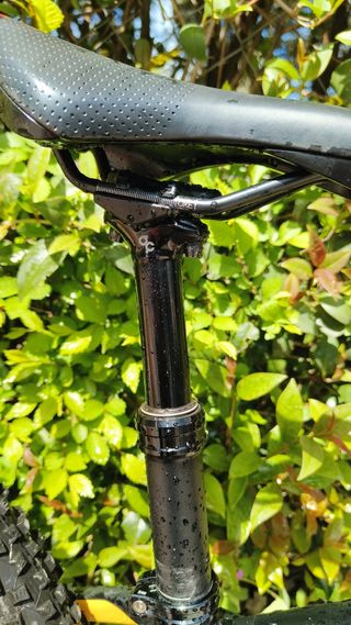 Orbea Laufey 24" H10