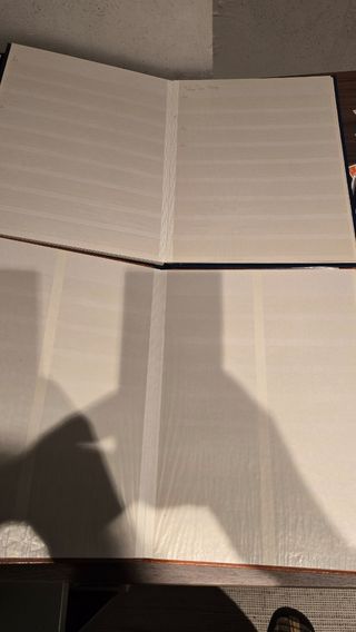 Lote de sellos con 2 álbumes grandes