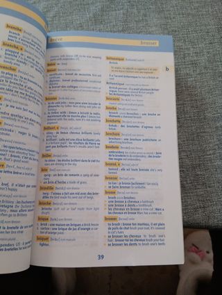 Diccionario/ Français/inglés.  Inglés/Français.