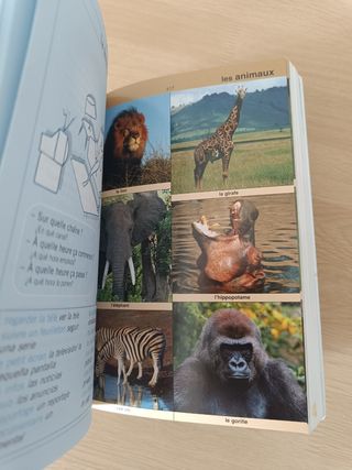 Diccionarios Espanol-Frances