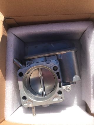 Cuerpo mariposa opel