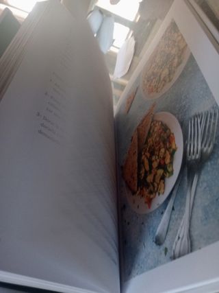 Camino a un mundo vegano