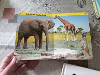 Cuentos infantiles temática animales