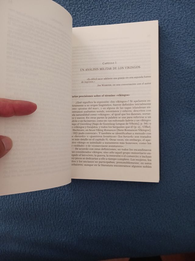 Los vikingos: El terror de Europa