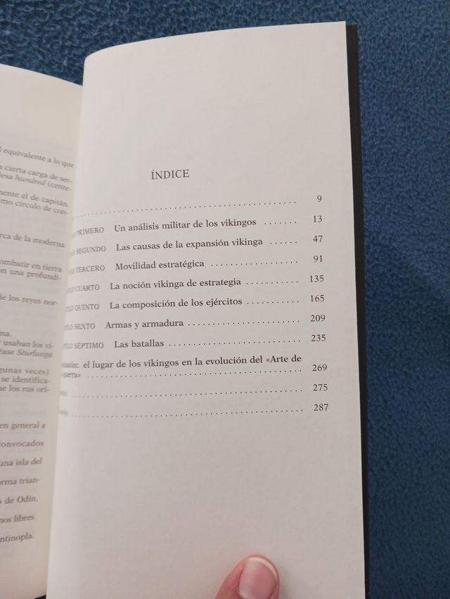 Los vikingos: El terror de Europa