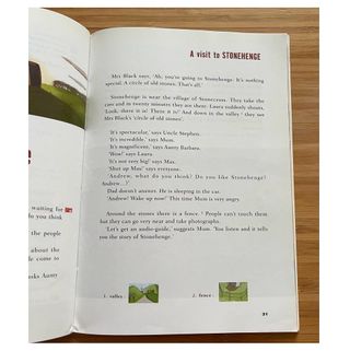 The Secret of the Stones. Book + CD (Black Cat)