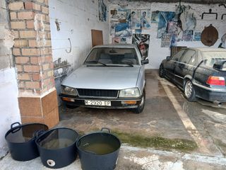 Peugeot 505 1980