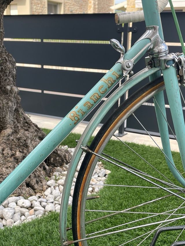 Bianchi campione del mondo 57x58