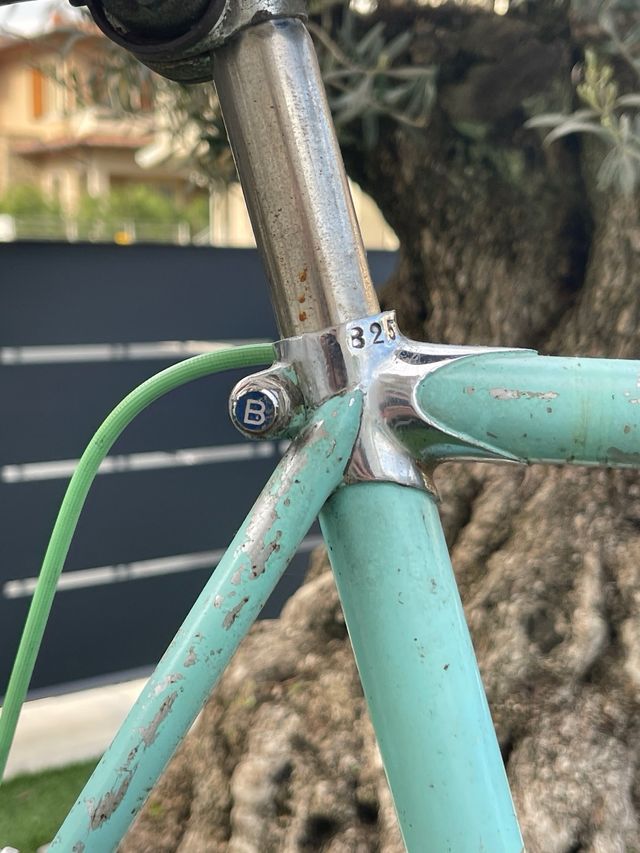Bianchi campione del mondo 57x58