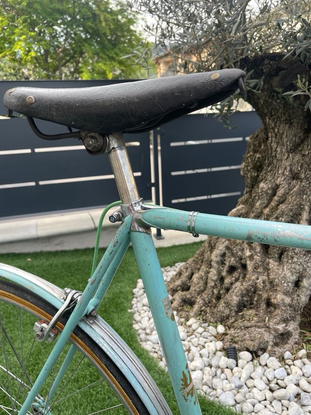 Bianchi campione del mondo 57x58