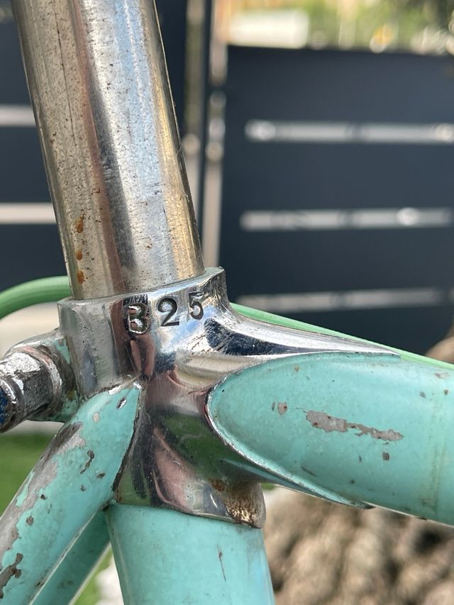 Bianchi campione del mondo 57x58