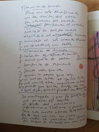 Joaquín Sabina. Vinagre y rosas. Edición especial.