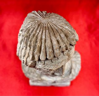 Busto masculino expresionista inspiración clásca