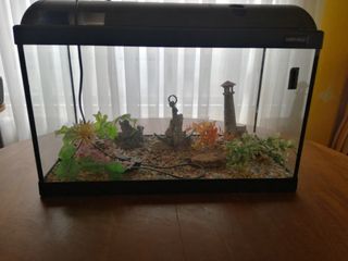 Acuario