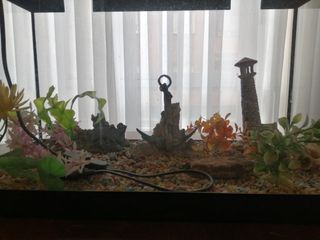 Acuario