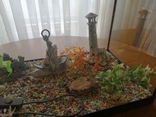 Acuario