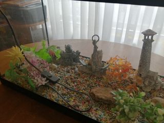 Acuario