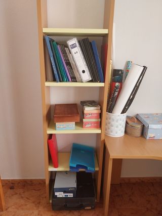 Escritorio y estantería