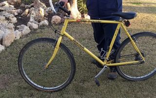 Bici montaña