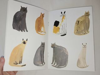 Libro e stampe gatti di Faye Moorhouse